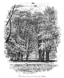 Die Reiherkolonie bei Vinney Ridge